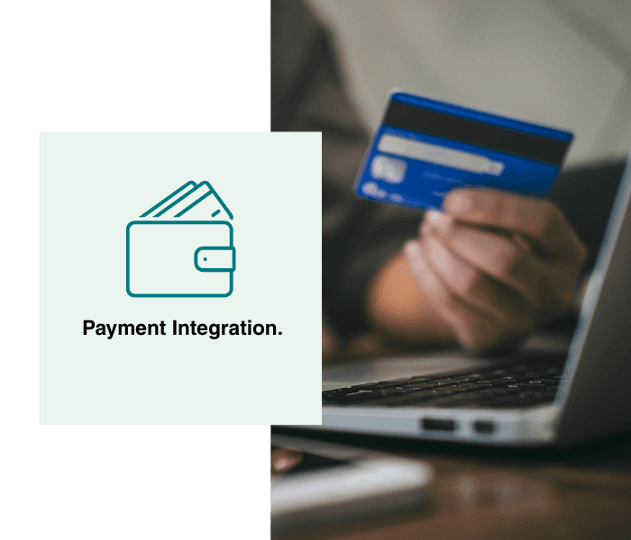 Flexible payment integrations